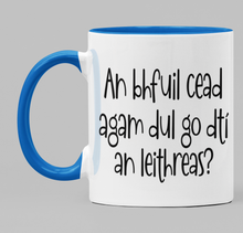 Load image into Gallery viewer, An bhfuil cead agam dul go dti an leithreas
