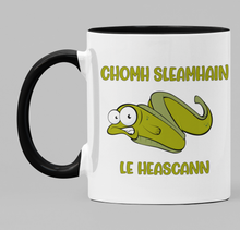 Load image into Gallery viewer, Chomh sleamhain le heascann (as slippery as an eel)
