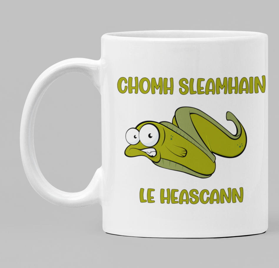 Chomh sleamhain le heascann (as slippery as an eel)